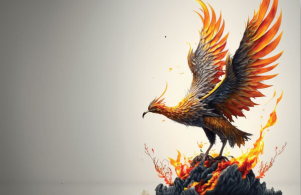 The Phoenix Programme